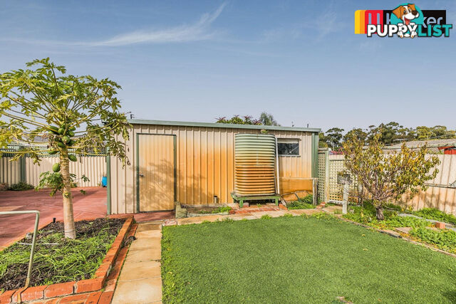 5 Peron Close COOLOONGUP WA 6168