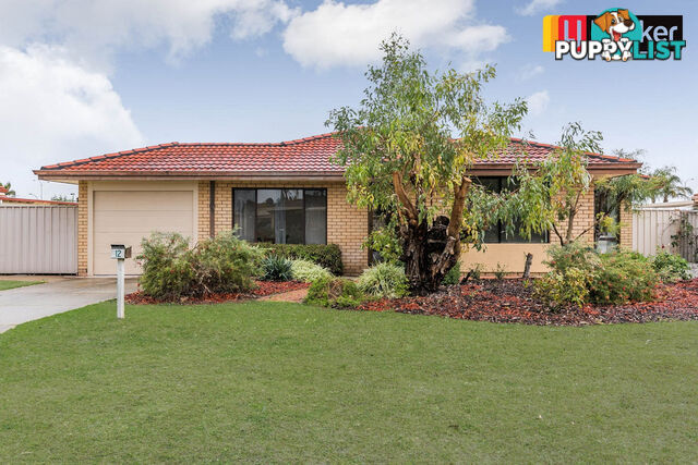 12 Javanica Court WARNBRO WA 6169