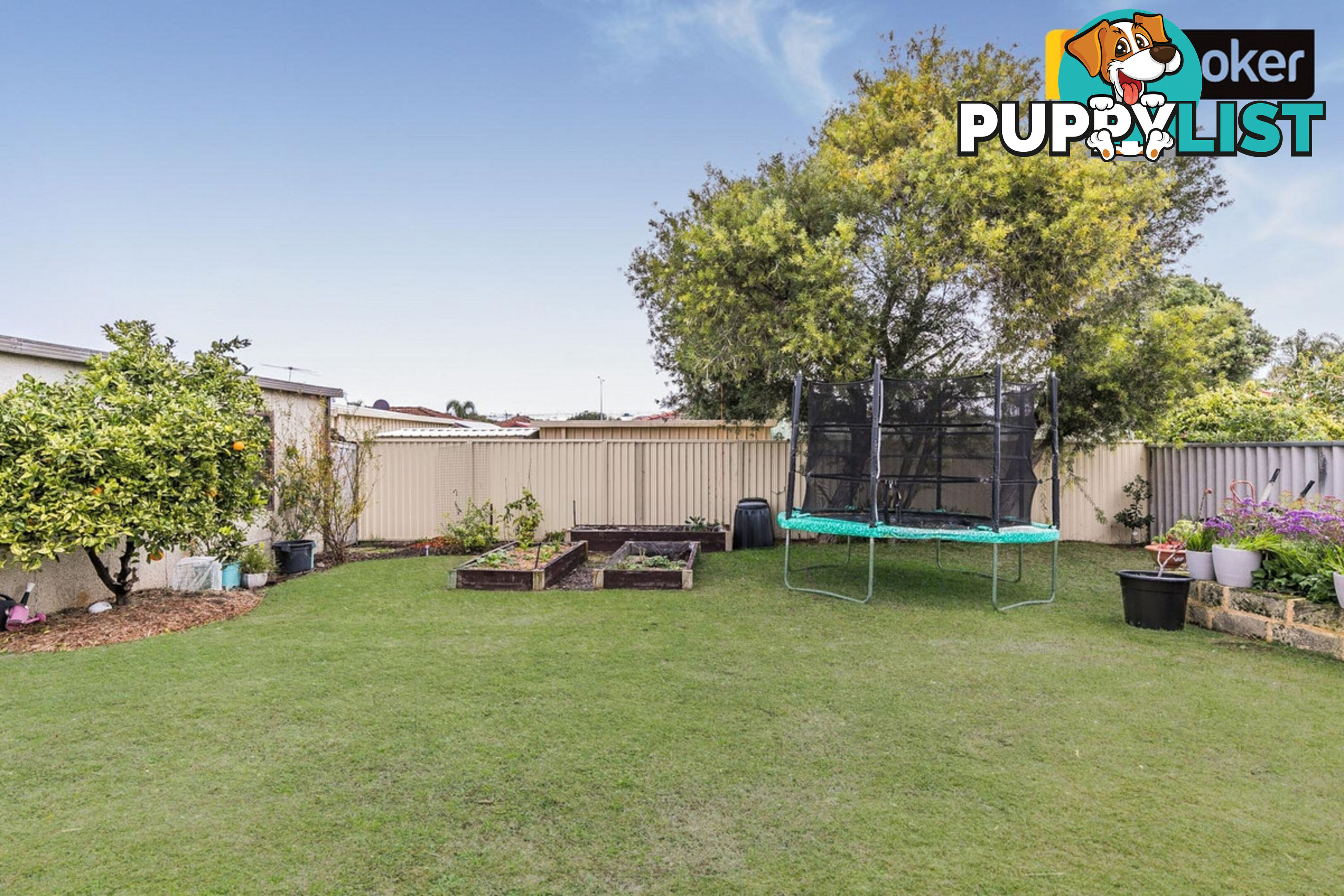 12 Javanica Court WARNBRO WA 6169