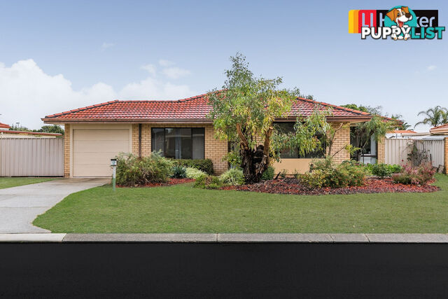 12 Javanica Court WARNBRO WA 6169