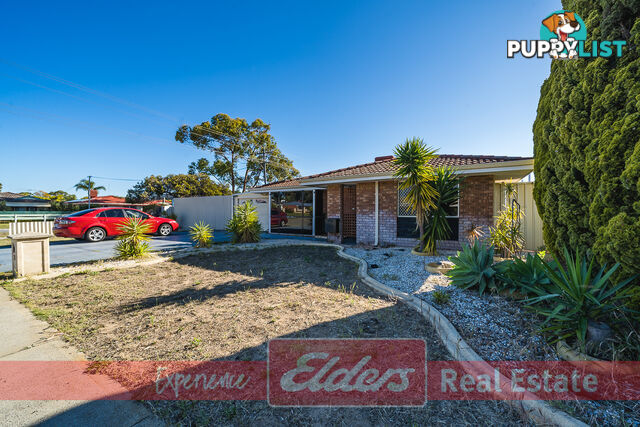 31 Kurrawa Street HILLMAN WA 6168