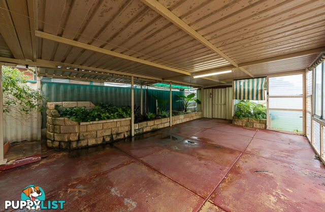 4 Tenella Mews WARNBRO WA 6169