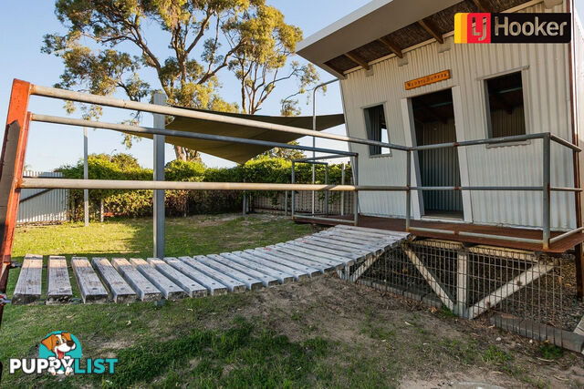 15 Goline Court HILLMAN WA 6168