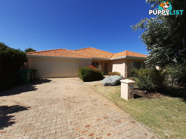 163 Fisher Street ROCKINGHAM WA 6168