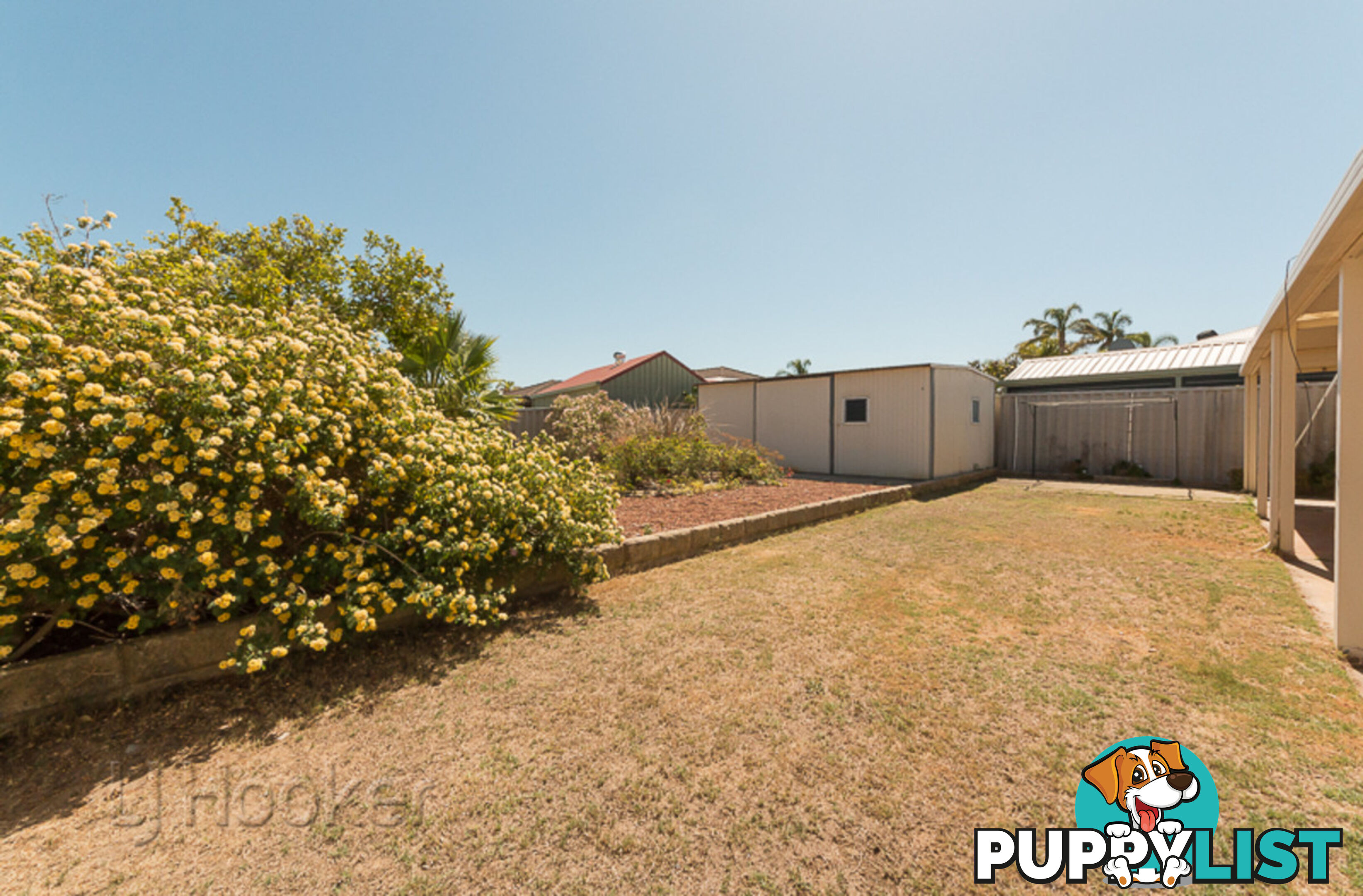 19 Senegal Grove WARNBRO WA 6169