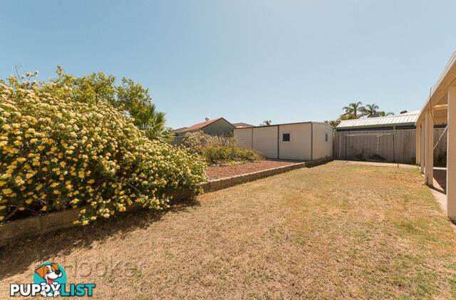 19 Senegal Grove WARNBRO WA 6169