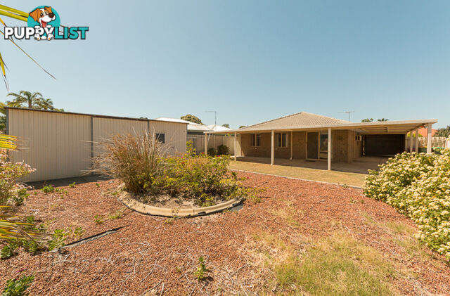 19 Senegal Grove WARNBRO WA 6169