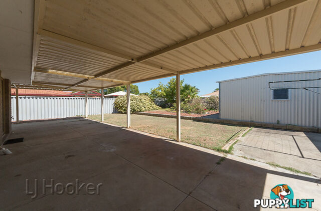 19 Senegal Grove WARNBRO WA 6169