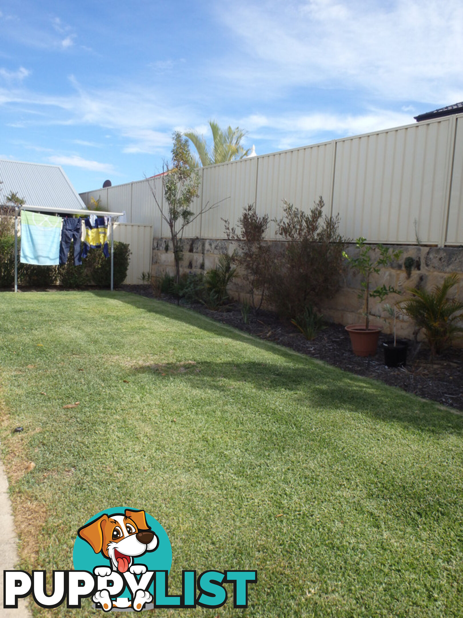 19 Grier Cresent BALDIVIS WA 6171