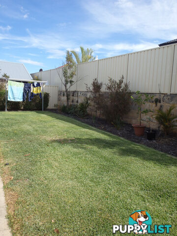 19 Grier Cresent BALDIVIS WA 6171