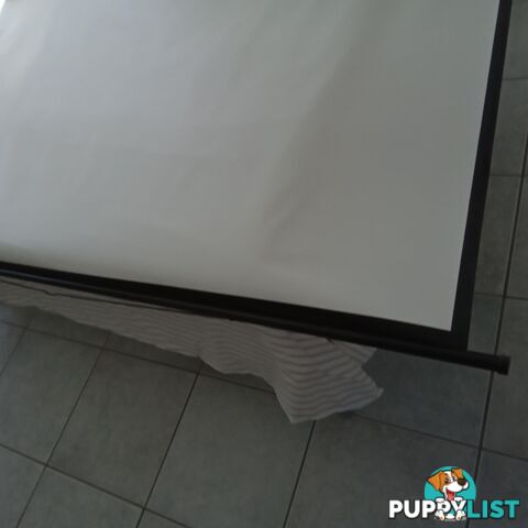 BENQ projector and large screen.