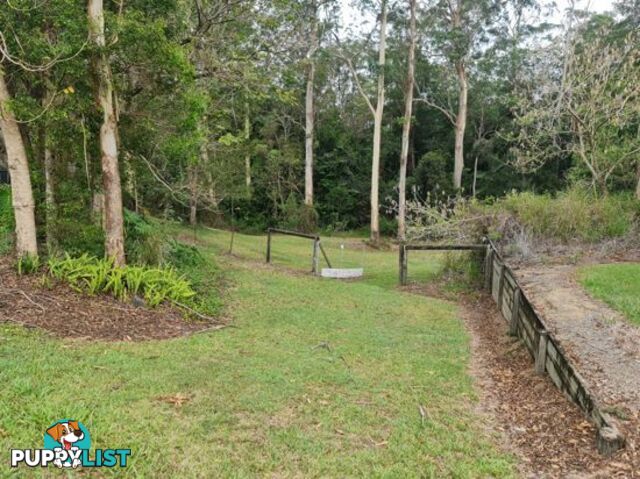 MOOLOOLAH VALLEY QLD 4553