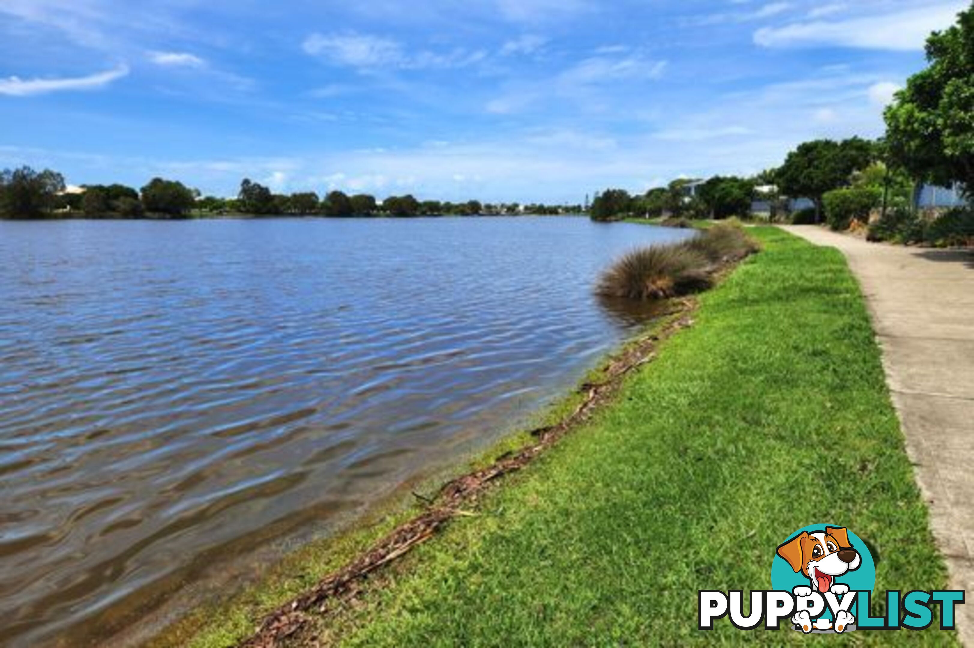 3 Macon Street BIRTINYA QLD 4575