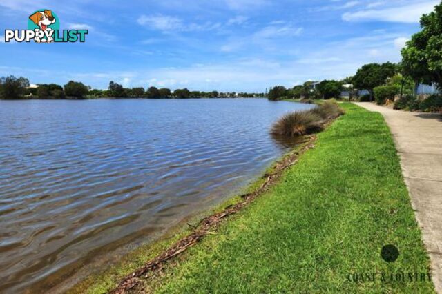 3 Macon Street BIRTINYA QLD 4575