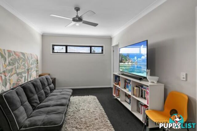 3 Macon Street BIRTINYA QLD 4575