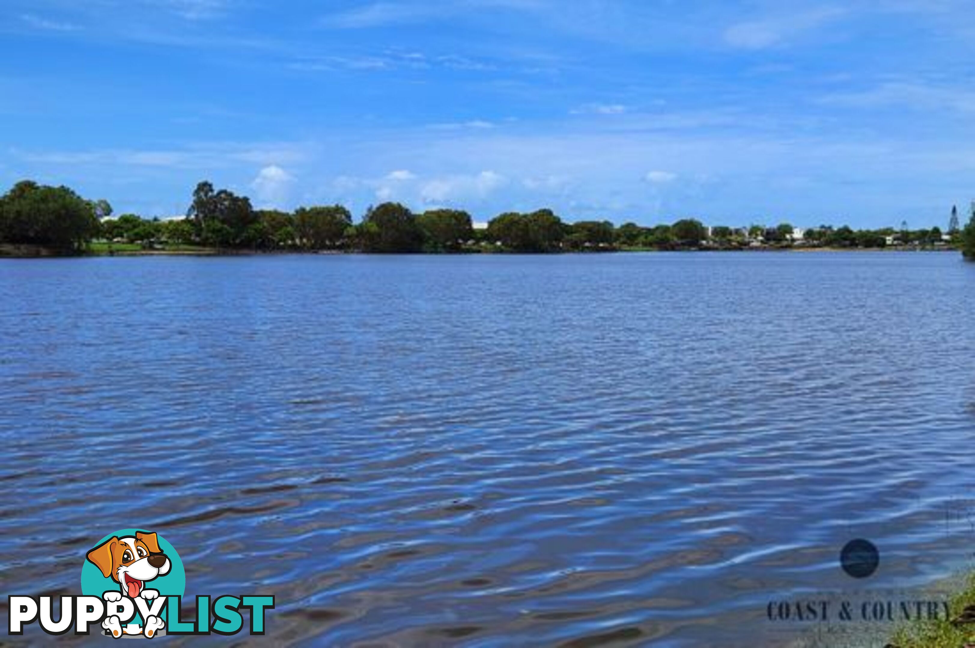 3 Macon Street BIRTINYA QLD 4575