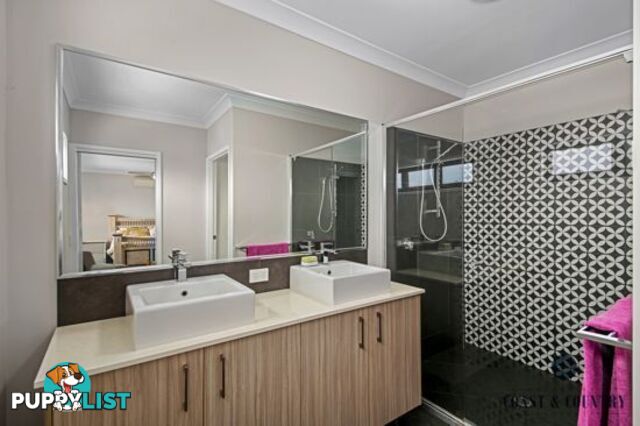 3 Macon Street BIRTINYA QLD 4575