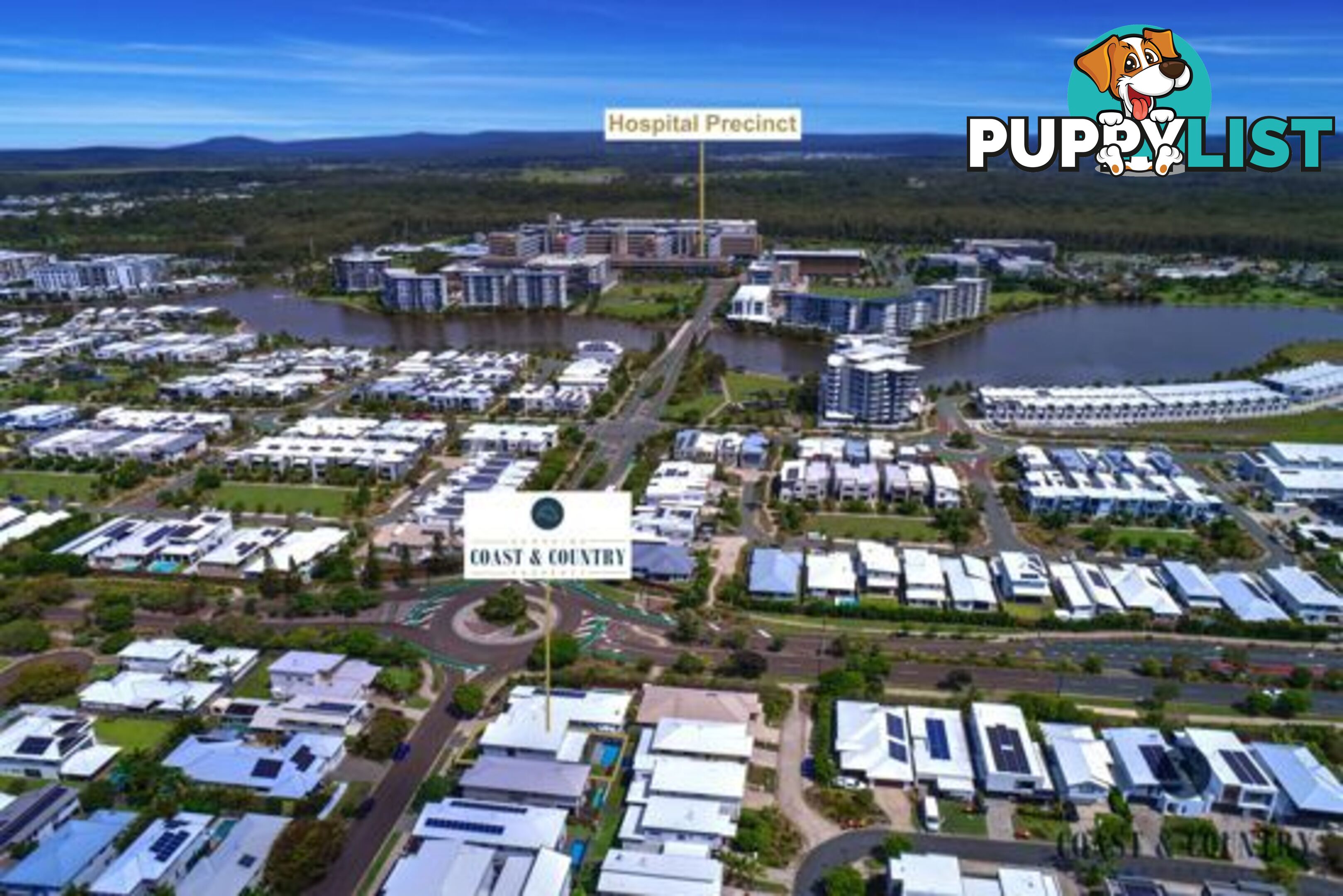 3 Macon Street BIRTINYA QLD 4575