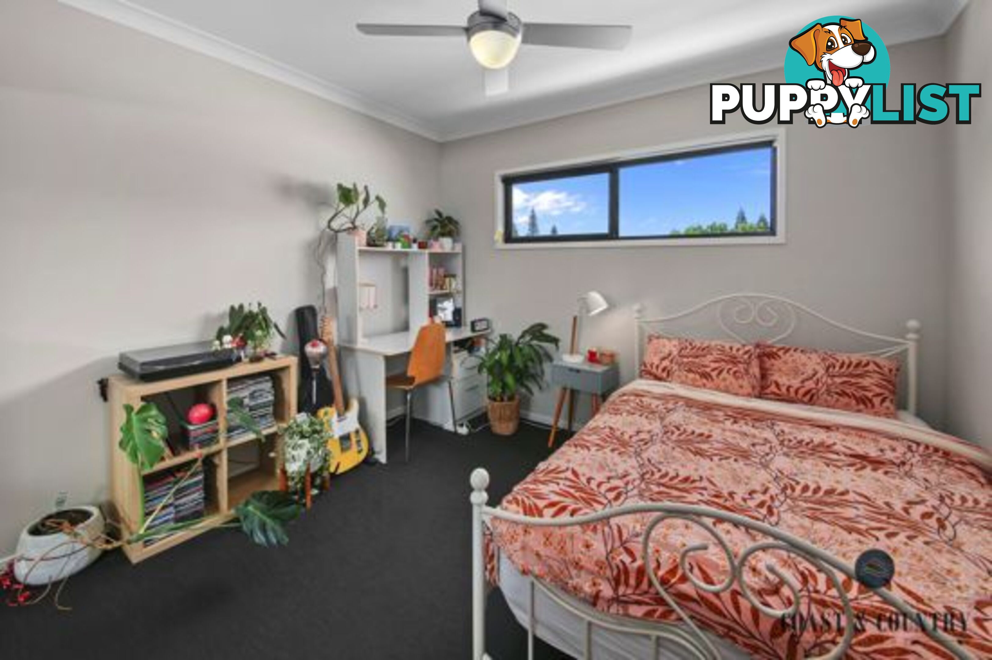3 Macon Street BIRTINYA QLD 4575
