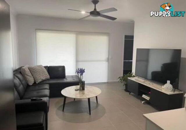 PALMVIEW QLD 4553