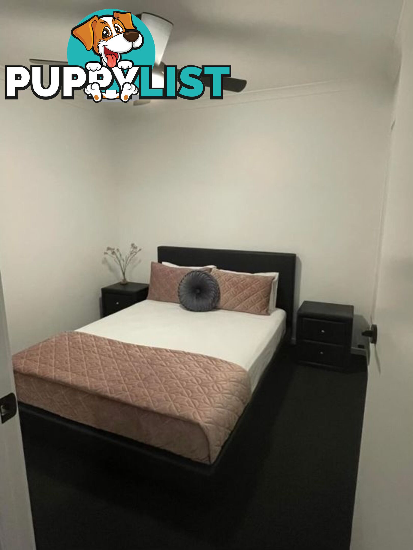 PALMVIEW QLD 4553