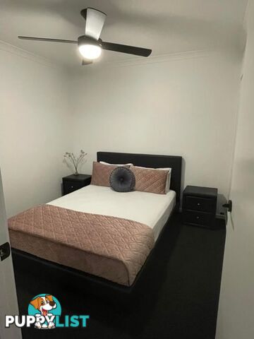 PALMVIEW QLD 4553