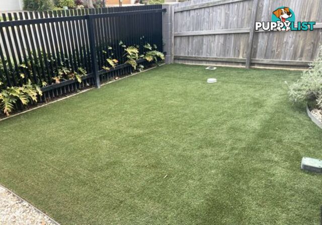 PALMVIEW QLD 4553