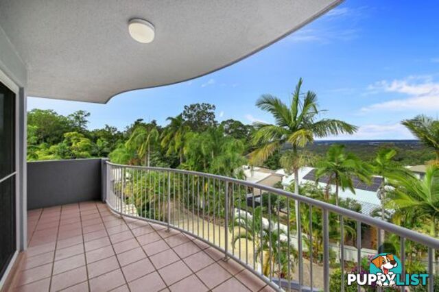 BUDERIM QLD 4556