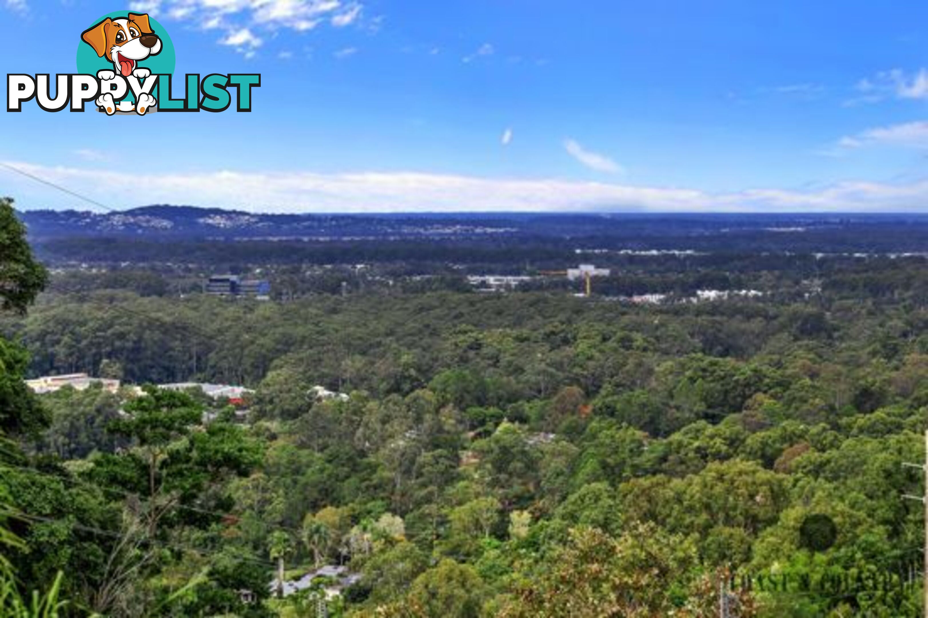 BUDERIM QLD 4556