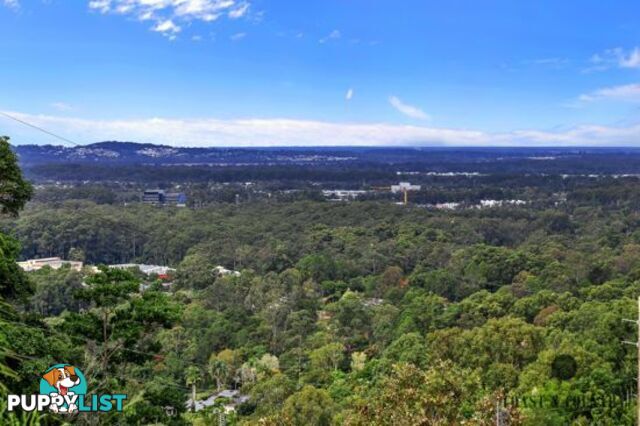 BUDERIM QLD 4556