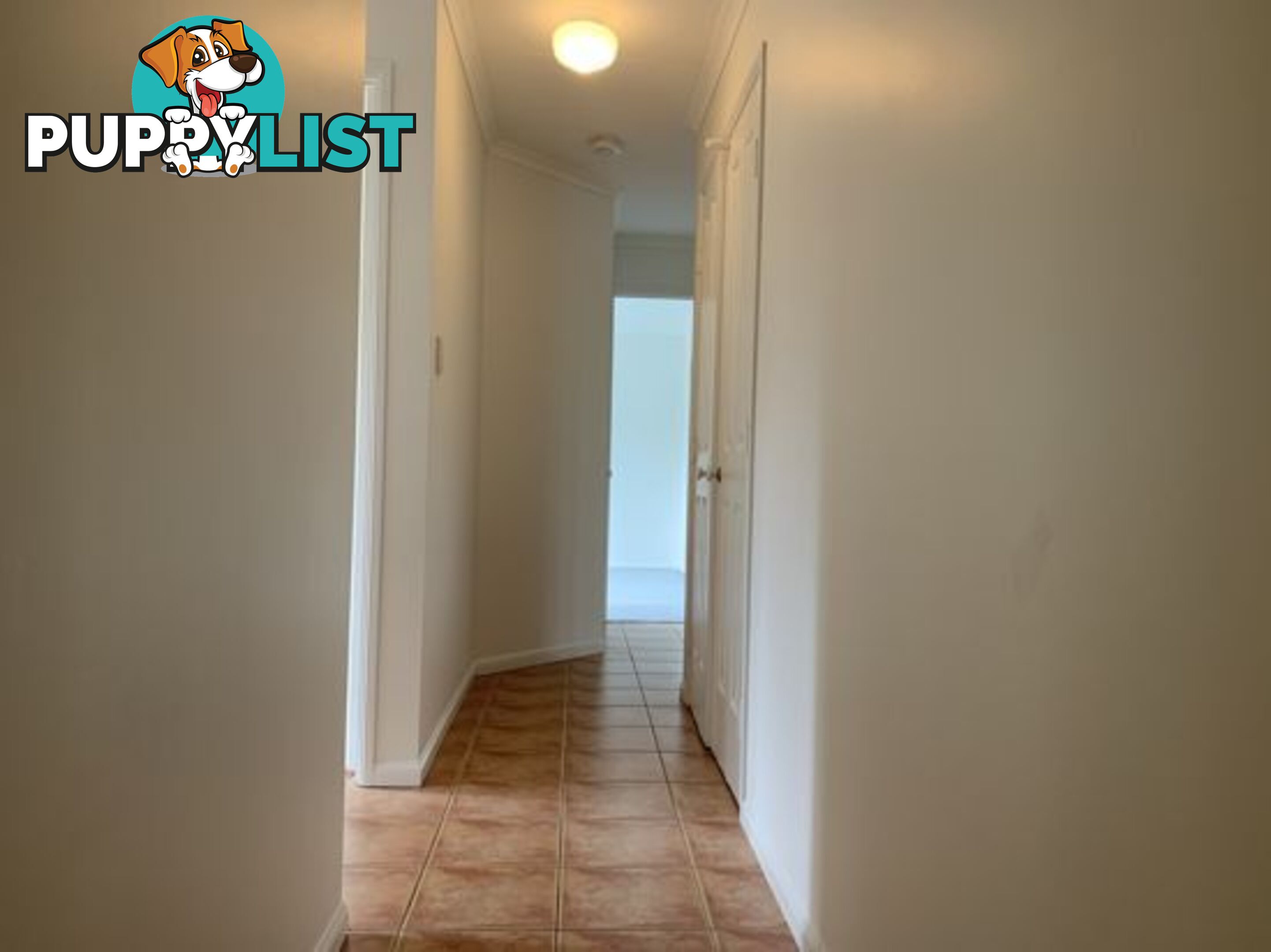 5 Icarus Court BUDERIM QLD 4556