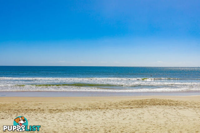 PEREGIAN BEACH QLD 4573