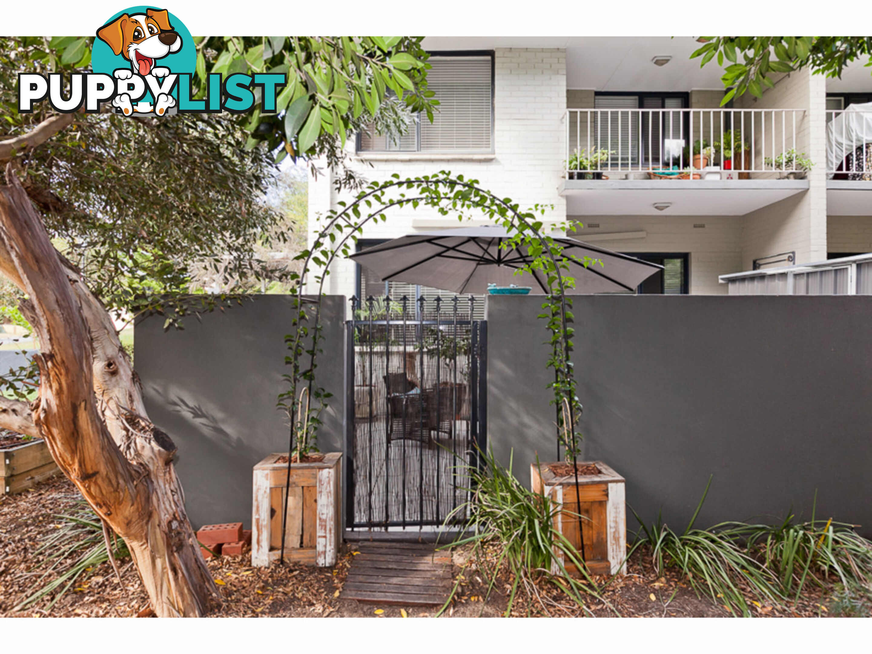 1/3 Currie Street JOLIMONT WA 6014