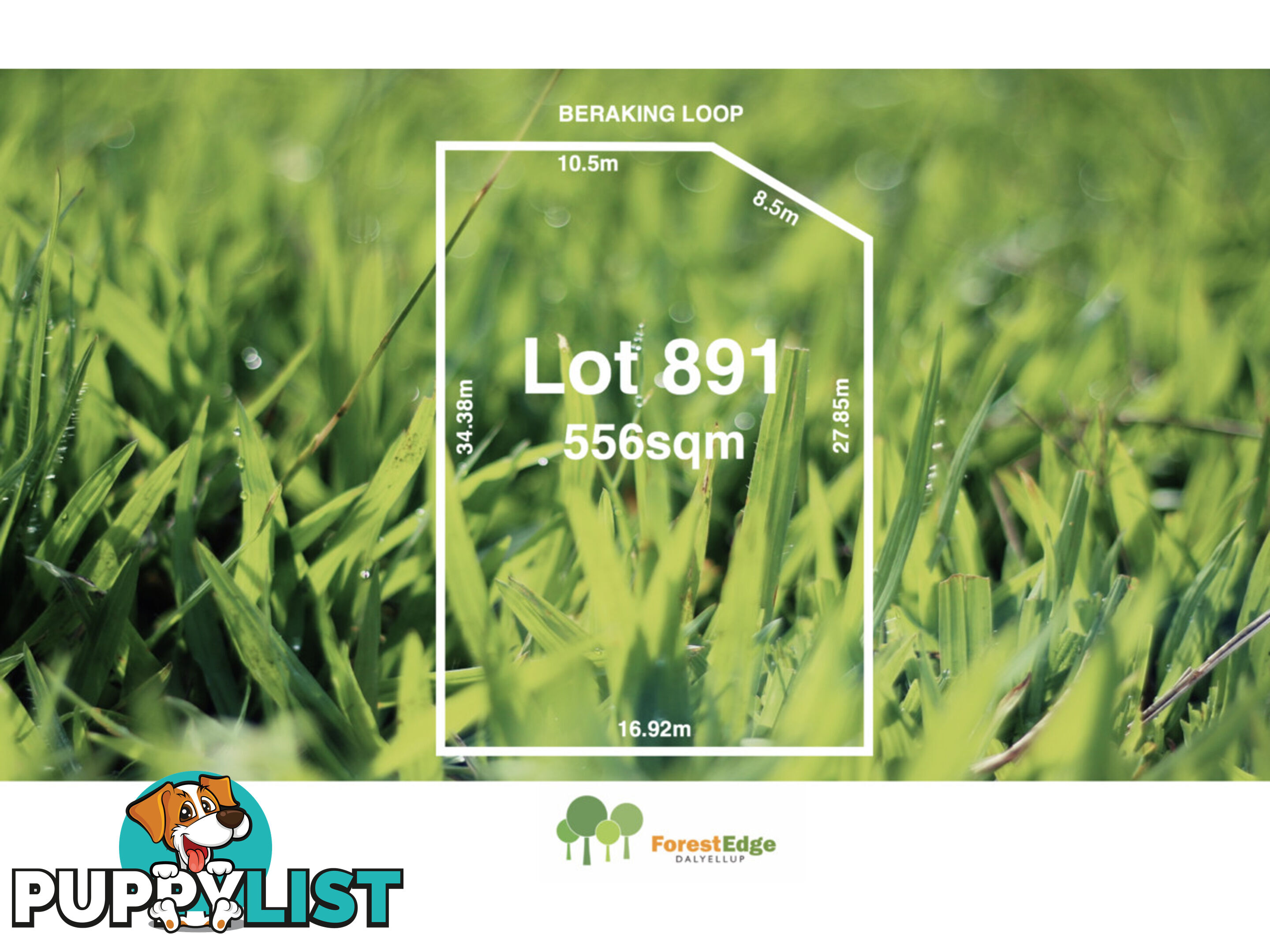 Lot 891 Beraking Loop DALYELLUP WA 6230