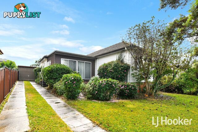 38 Esme Avenue CHESTER HILL NSW 2162