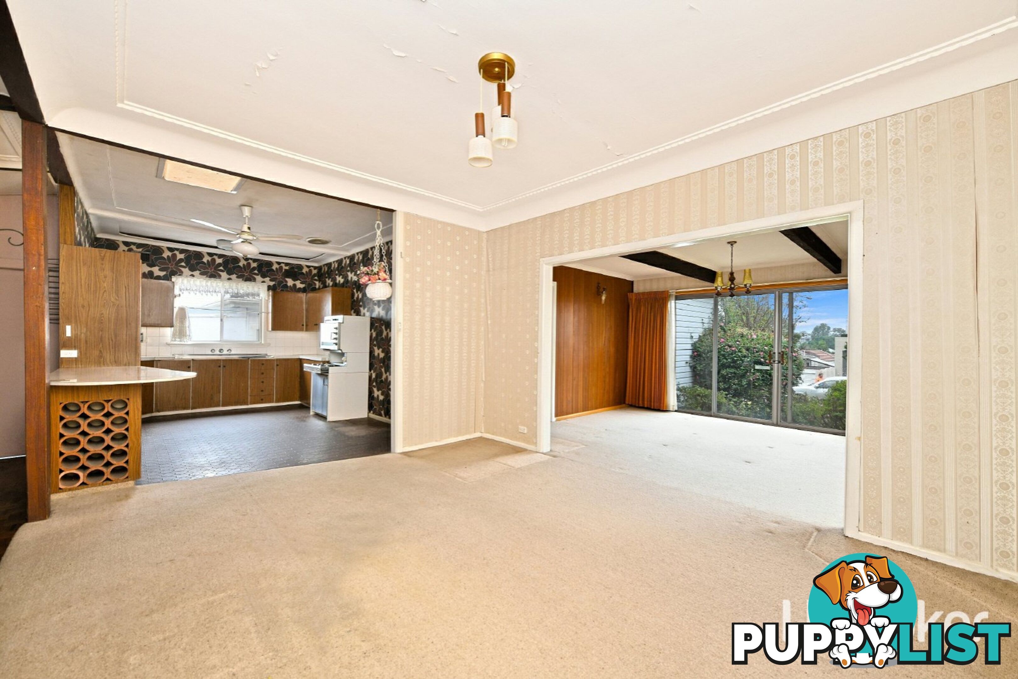 38 Esme Avenue CHESTER HILL NSW 2162