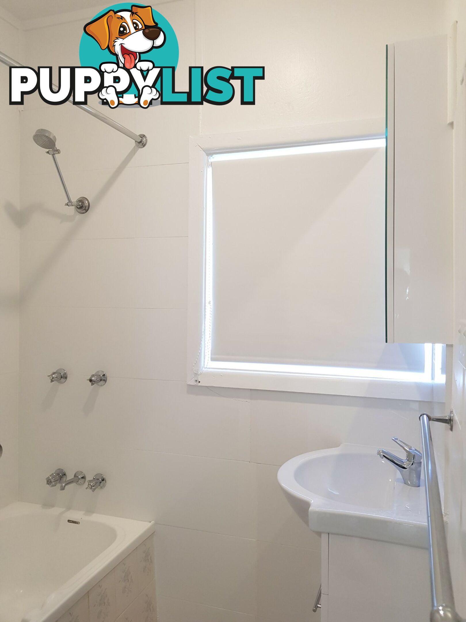 46A Miller Road CHESTER HILL NSW 2162