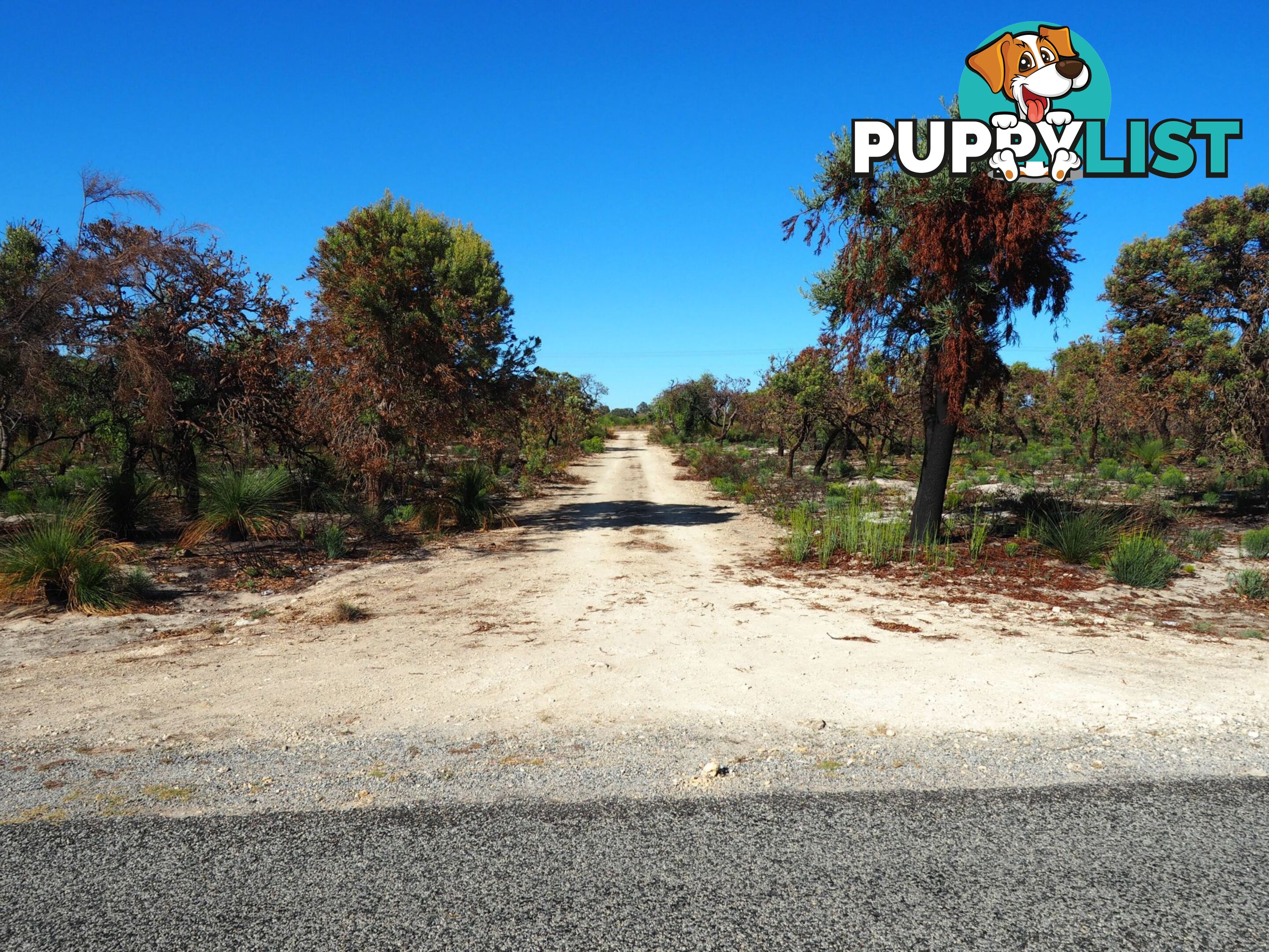 Lot 55 Sappers Road Karakin WA 6044