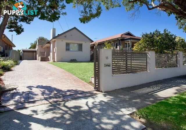 16 Robinson Street STRATHFIELD SOUTH NSW 2136