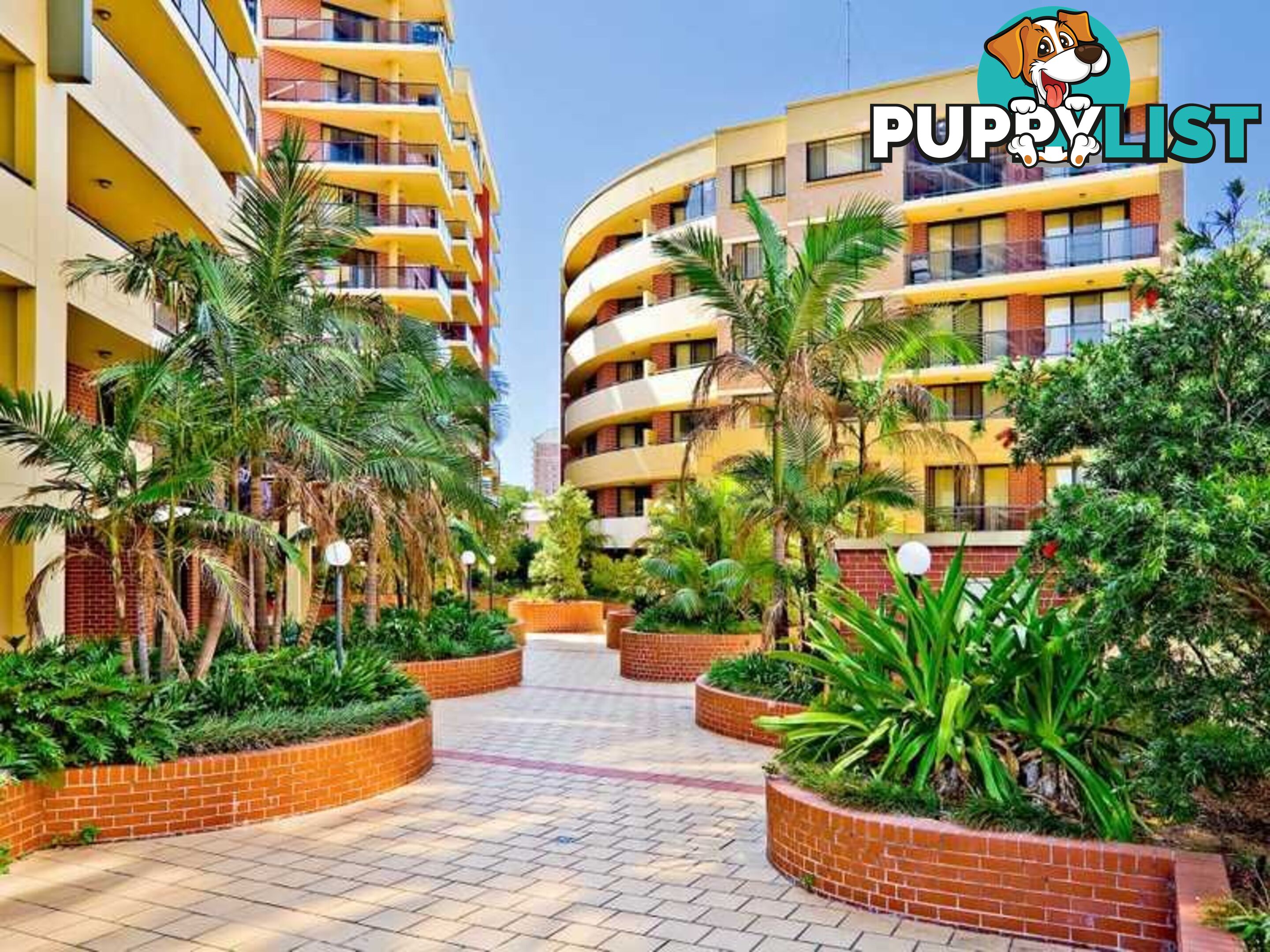 24/1-3 Beresford Road STRATHFIELD NSW 2135