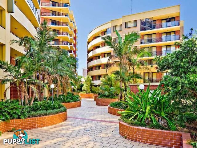 24/1-3 Beresford Road STRATHFIELD NSW 2135