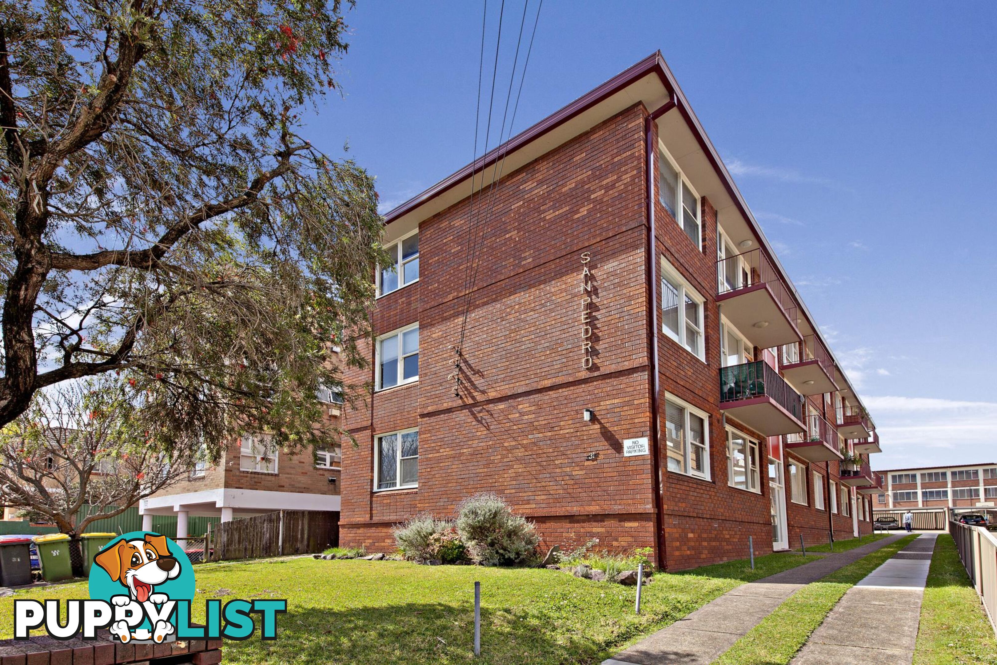 4/31 Alt St ASHFIELD NSW 2131