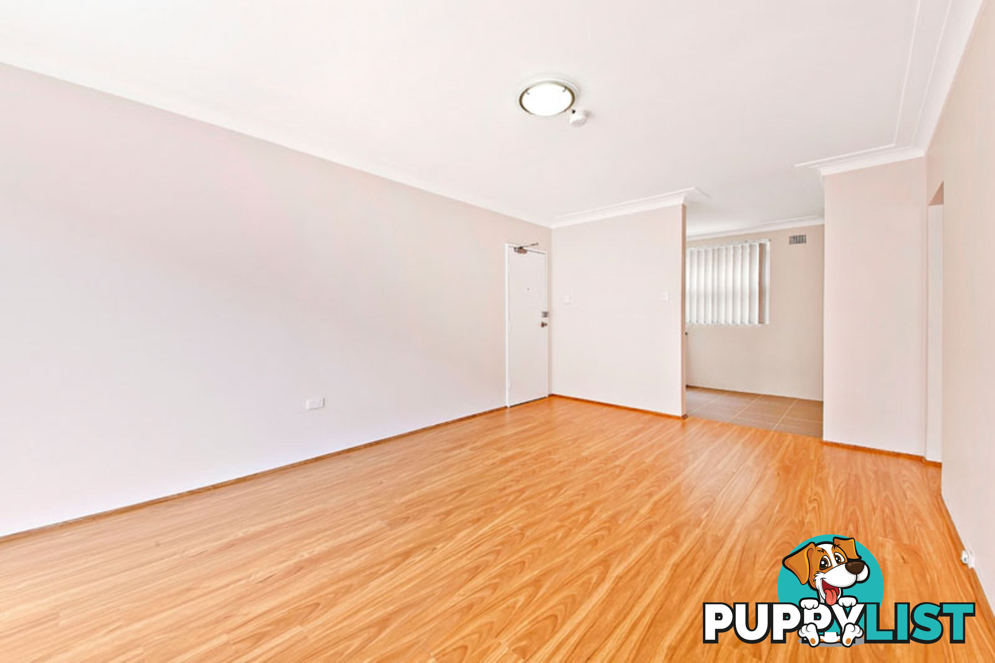 4/31 Alt St ASHFIELD NSW 2131