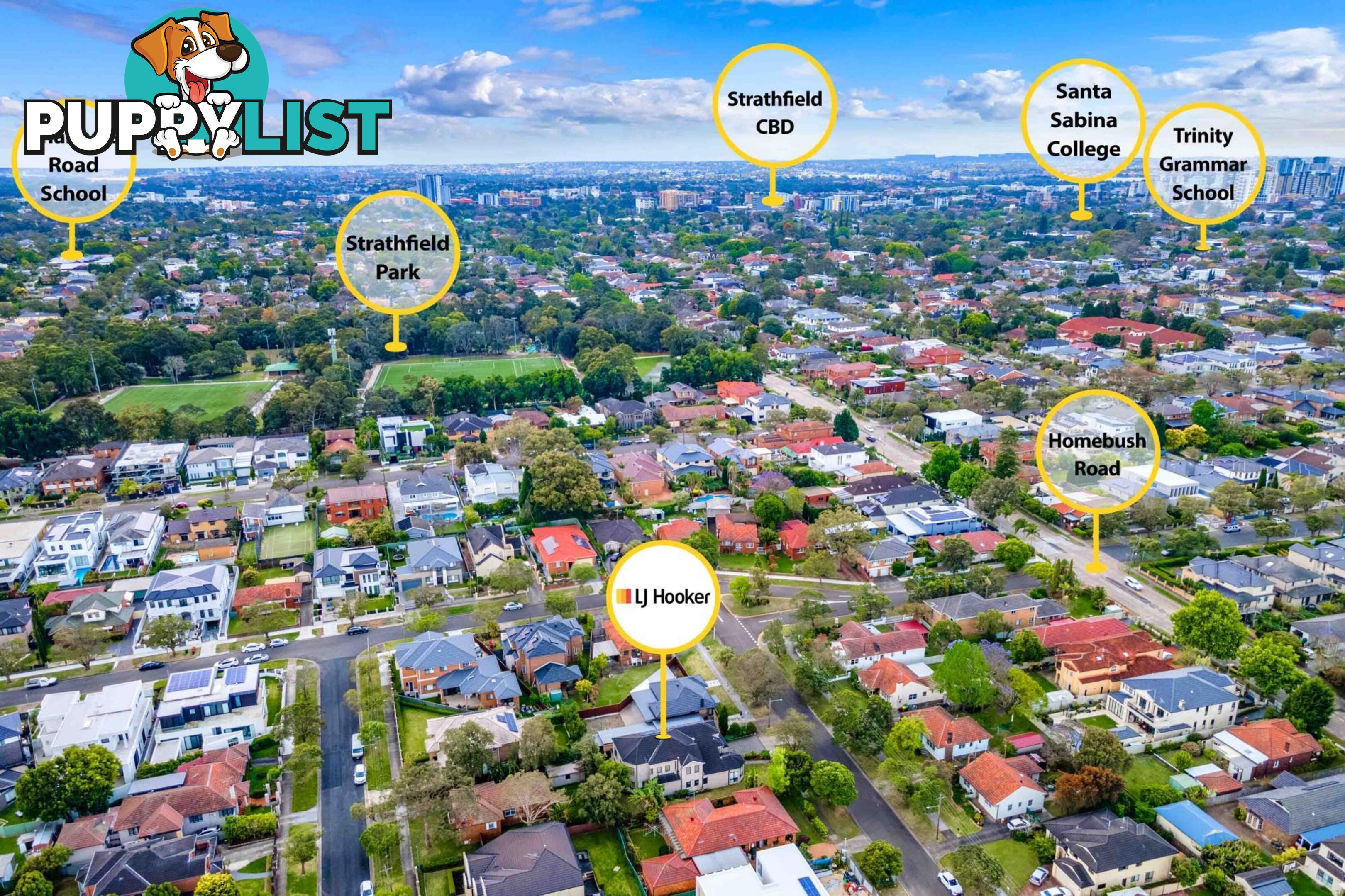 3 Noble Avenue STRATHFIELD NSW 2135