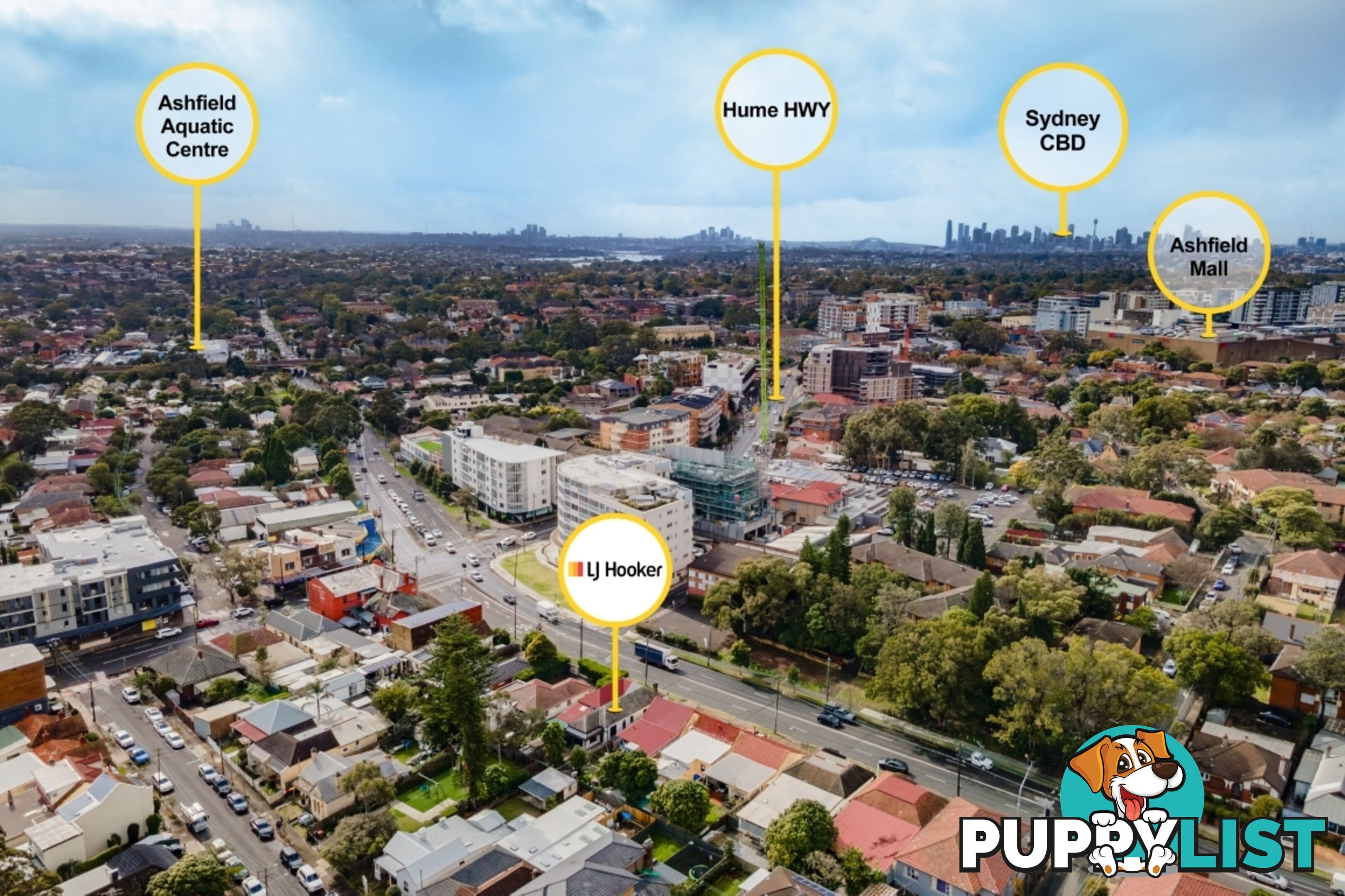 47 Milton Street ASHFIELD NSW 2131