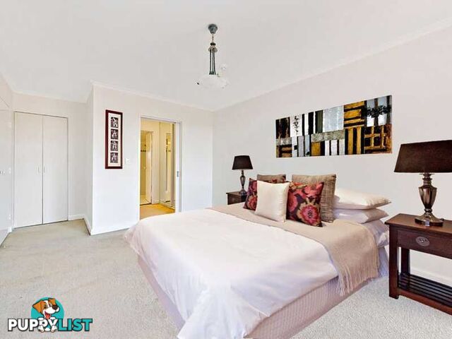 503/3-7 Albert Road STRATHFIELD NSW 2135