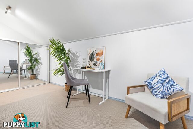 2/57 Queen Street NORTH STRATHFIELD NSW 2137