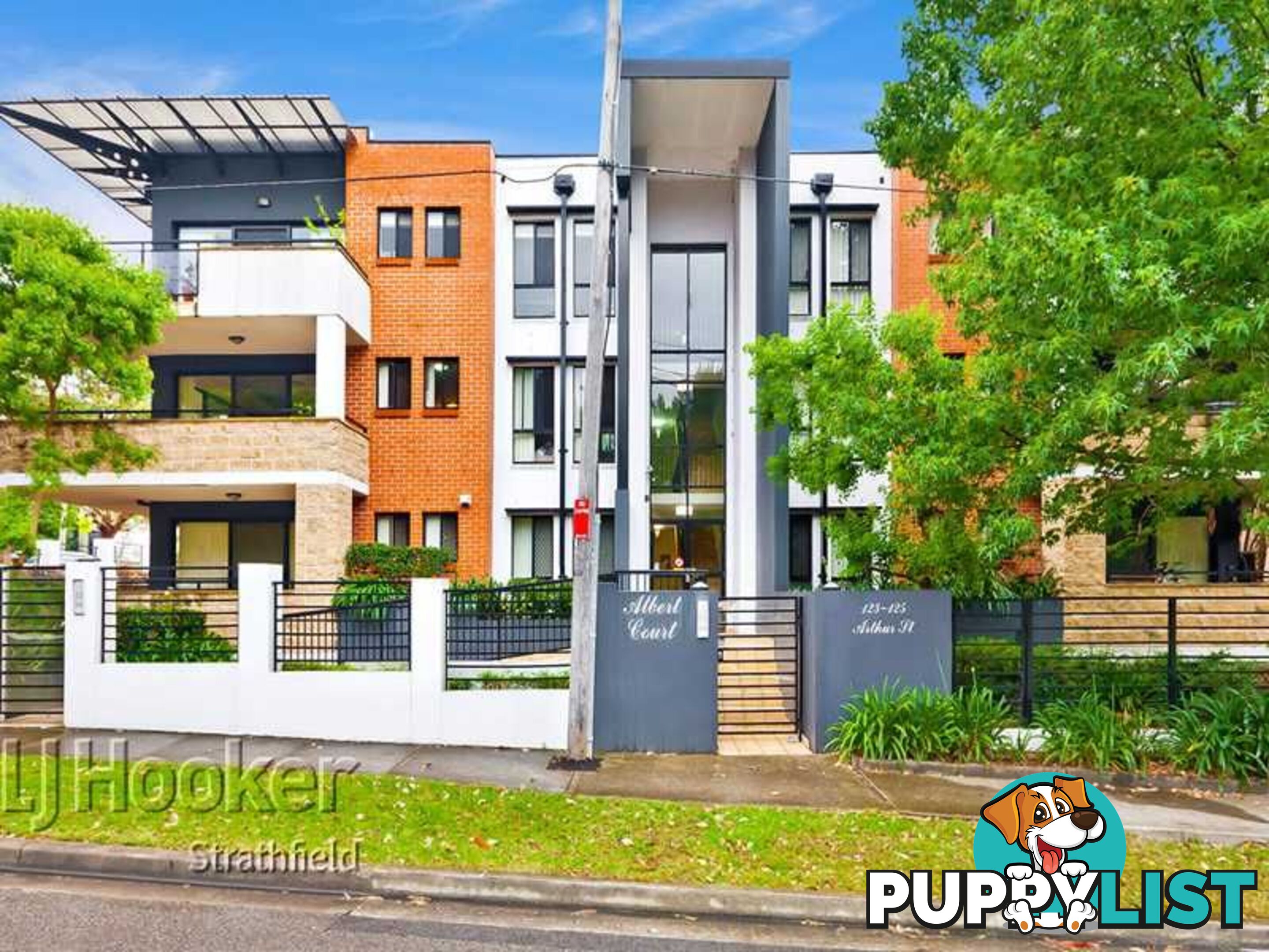 3/123-125 Arthur Street STRATHFIELD NSW 2135