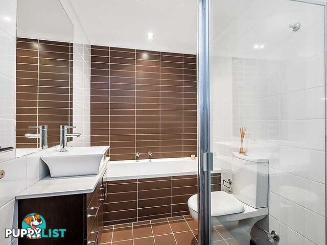 11/10-12 Grantham Street BURWOOD NSW 2134