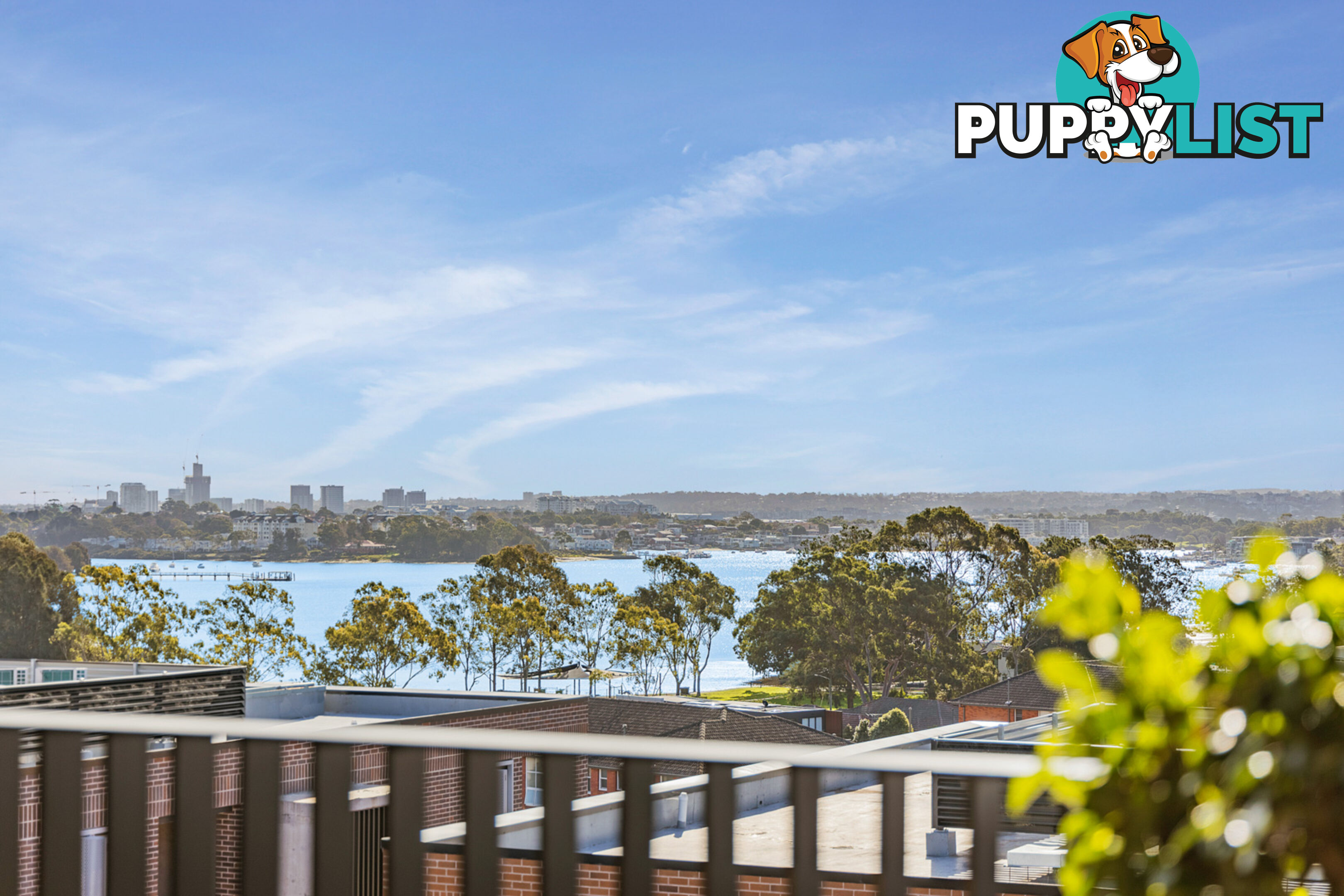 637/3 McKinnon Avenue FIVE DOCK NSW 2046